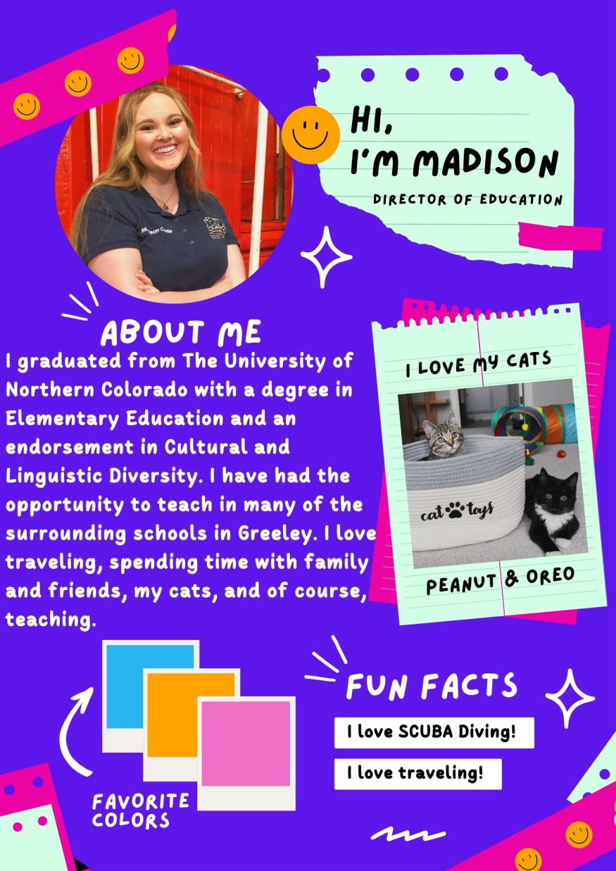 Blue and Pink Doodle Personal Profile All About Me Poster (1)